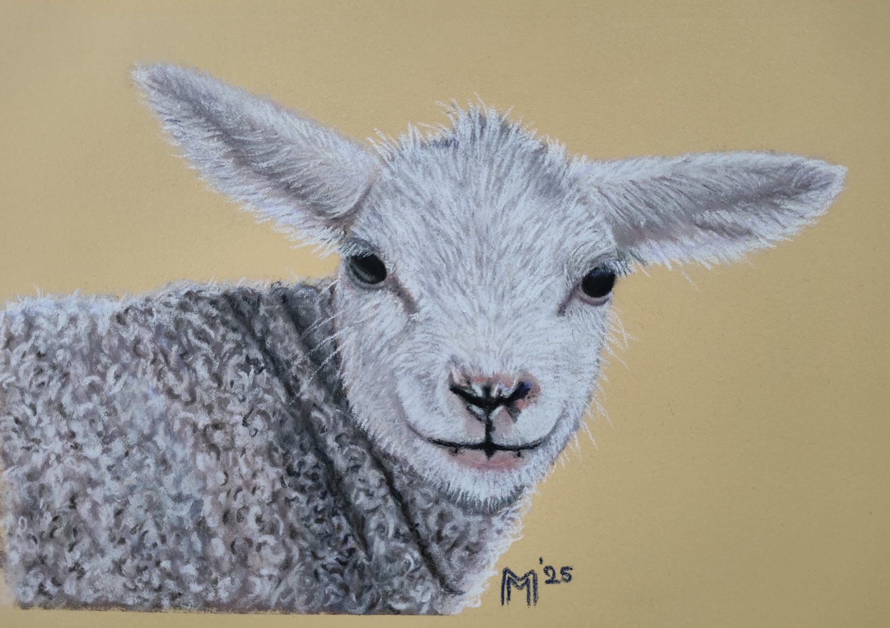 Tekening van een lammetje