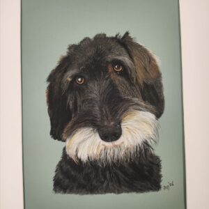 Pastel tekening van Teckel Houston